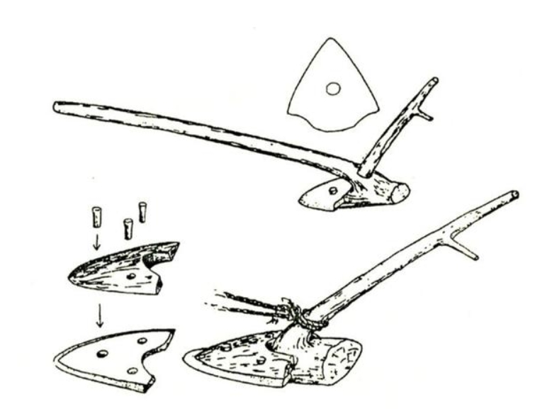 微信截圖_20240408103248